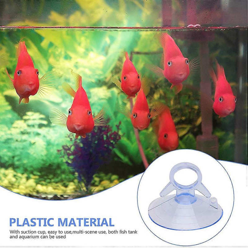 12 Pcs Air Plant Stand,Fish Tank Vacuum Suction Cups with Loops for Plants Hanging on Glass Windshi