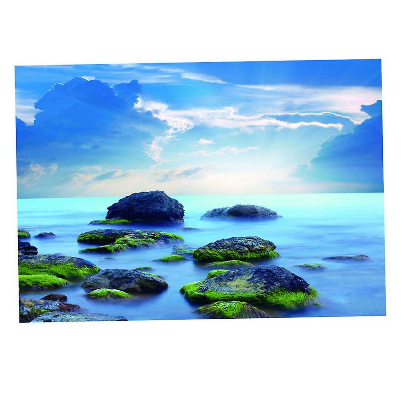 1pc Aquarium Fish Tank Sticker Pvc Adhesive Background Decoration Xs