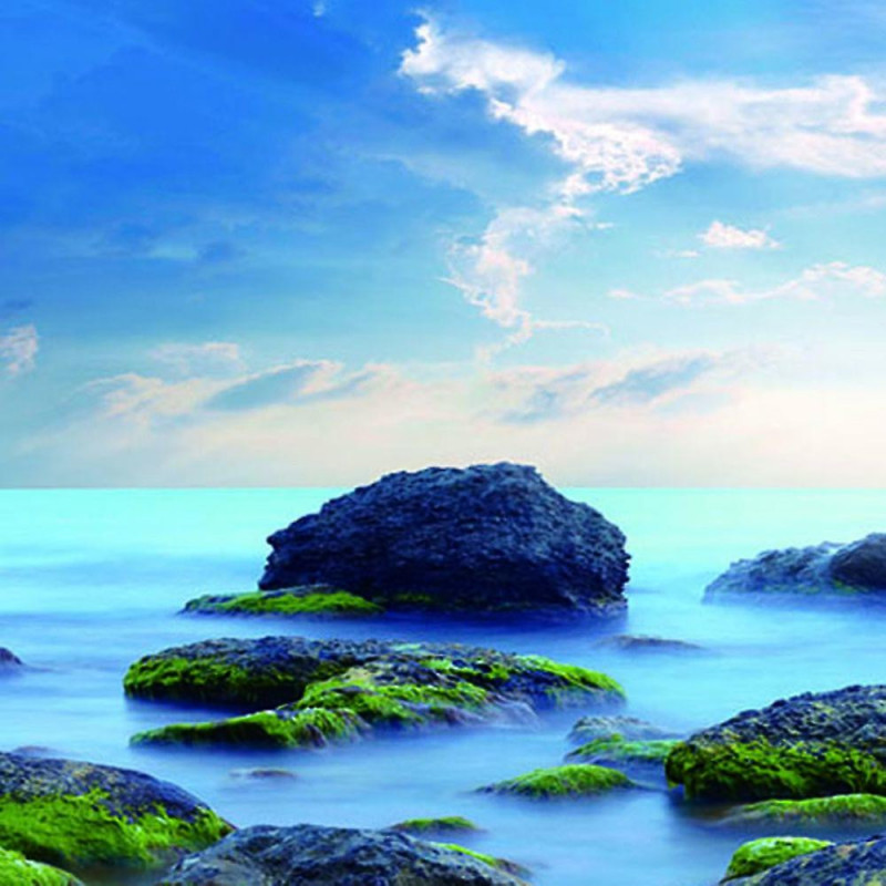 1pc Aquarium Fish Tank Sticker Pvc Adhesive Background Decoration Xs