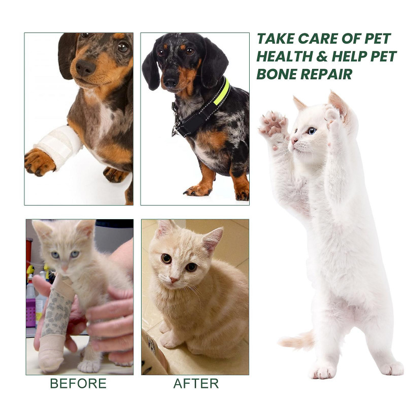 Formule de guérison de l’arthrite pour chat chiens Os Douleurs de hanche Soulagement des soins articulaires