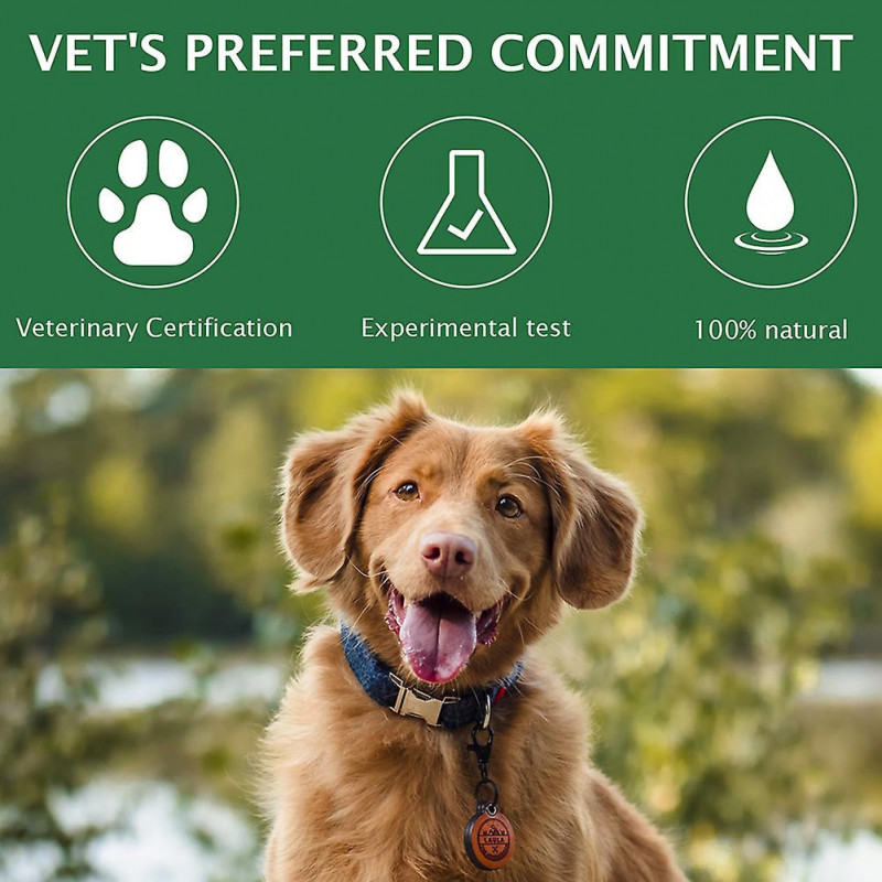 60ML Gouttes oculaires douces pour animaux de compagnie Soulager les démangeaisons oculaires Détachant pour les [...]