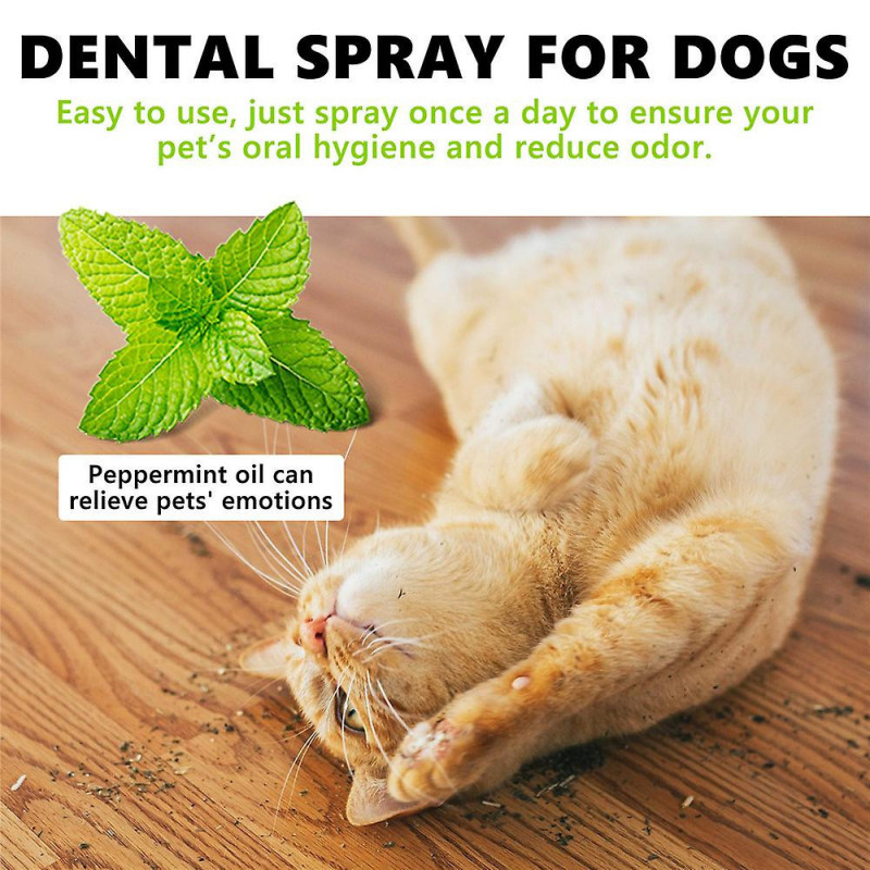 3pcs 100ML Nouveau Déodorant Pour Animaux De Compagnie Chien Chat Nettoyant Buccal Spray Nettoyant Bouche Pour [...]