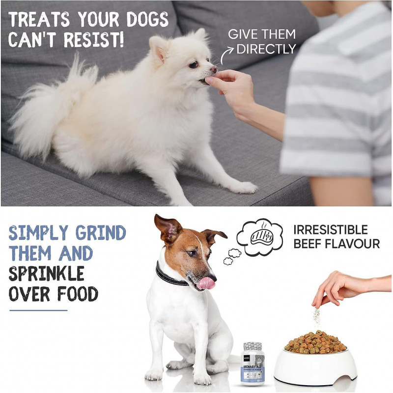 Aide urinaire Animigo pour chien - Poudre de mannose D, racine de guimauve, canneberge, astragale, poudre de [...]