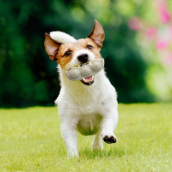 Jouets Mcher Pour Animaux De Compagnie, Jouets Interactifs Pour Chiens Pour Les