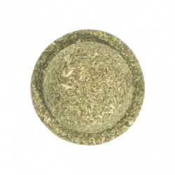 Cat Toy Dental Care Freshens Breath Removes Plaque Tartar Interactive Edible Suction Cup Design