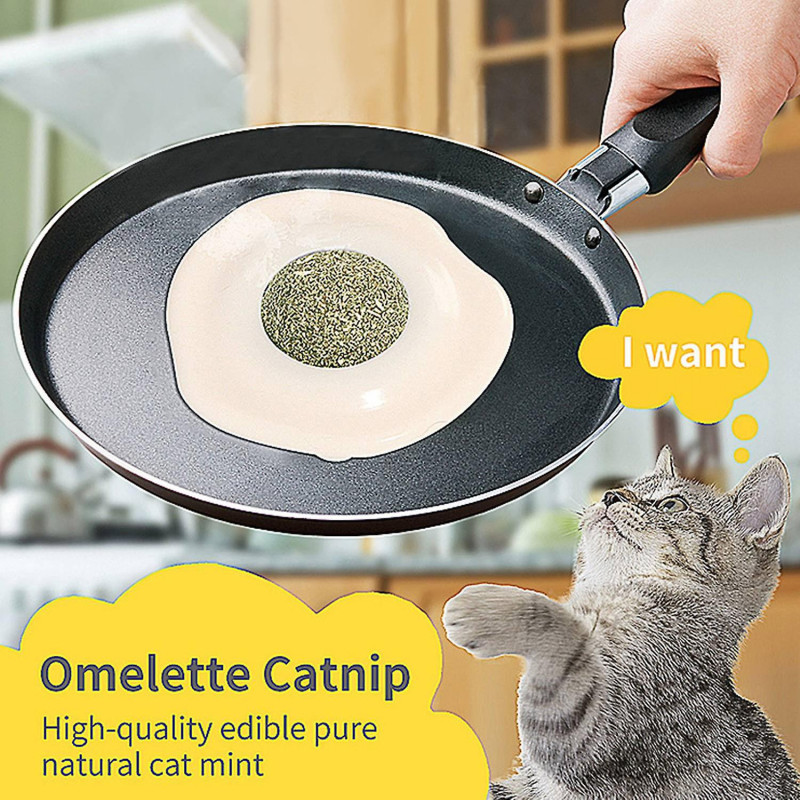 Cat Toy Dental Care Freshens Breath Removes Plaque Tartar Interactive Edible Suction Cup Design