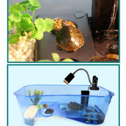 2x Plastic Reptile Terrapin Tortoise Turtle Tank Vivarium Feeding Box