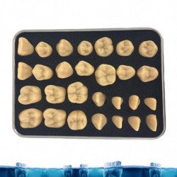 Resin Fake Teeth-dental Kit For Temporary Fixing The Missing Teeth Teaching Resin Fake Teeth-dental Kit For Temporary Fixing The Missing Teeth Teaching