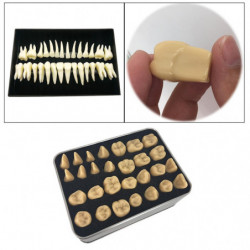 Resin Fake Teeth-dental Kit For Temporary Fixing The Missing Teeth Teaching Resin Fake Teeth-dental Kit For Temporary Fixing The Missing Teeth Teaching