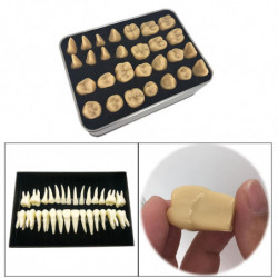 Resin Fake Teeth-dental Kit For Temporary Fixing The Missing Teeth Teaching Resin Fake Teeth-dental Kit For Temporary Fixing The Missing Teeth Teaching