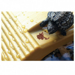 2pcs Suction Cup Turtle Basking Platform Adjustable Aquatic Tank Dock 1