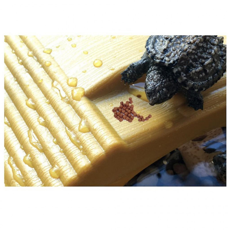 2pcs Suction Cup Turtle Basking Platform Adjustable Aquatic Tank Dock 1