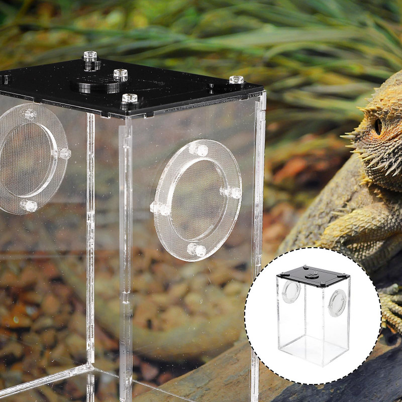 Boîte à reptiles Boîte à lézard acrylique Boîte transparente d’élevage de reptiles Accueil Reptile Pet Tank