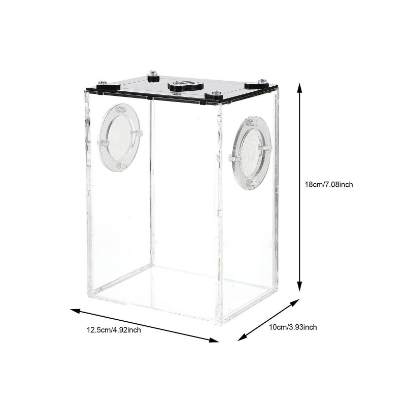 Boîte à reptiles Boîte à lézard acrylique Boîte transparente d’élevage de reptiles Accueil Reptile Pet Tank