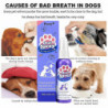 Dog Spray Oral Care Bad Breath Teeth Cleaning Breath Freshener Plaque Removing