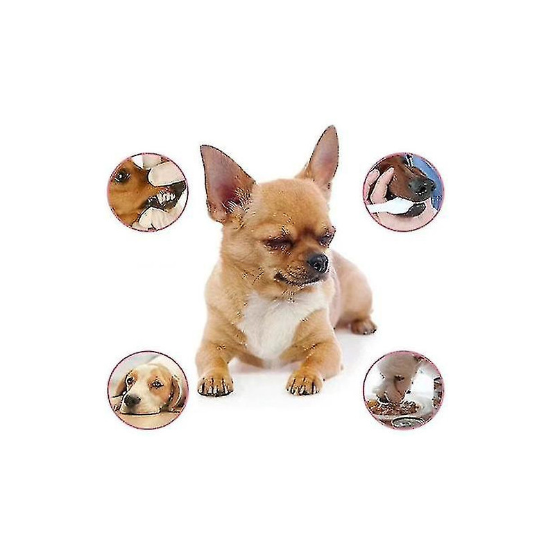 Pet Spray Dog Soins bucco-dentaires Mauvaise haleine Dents Nettoyage Haleine Assainisseur de plaque Détrait