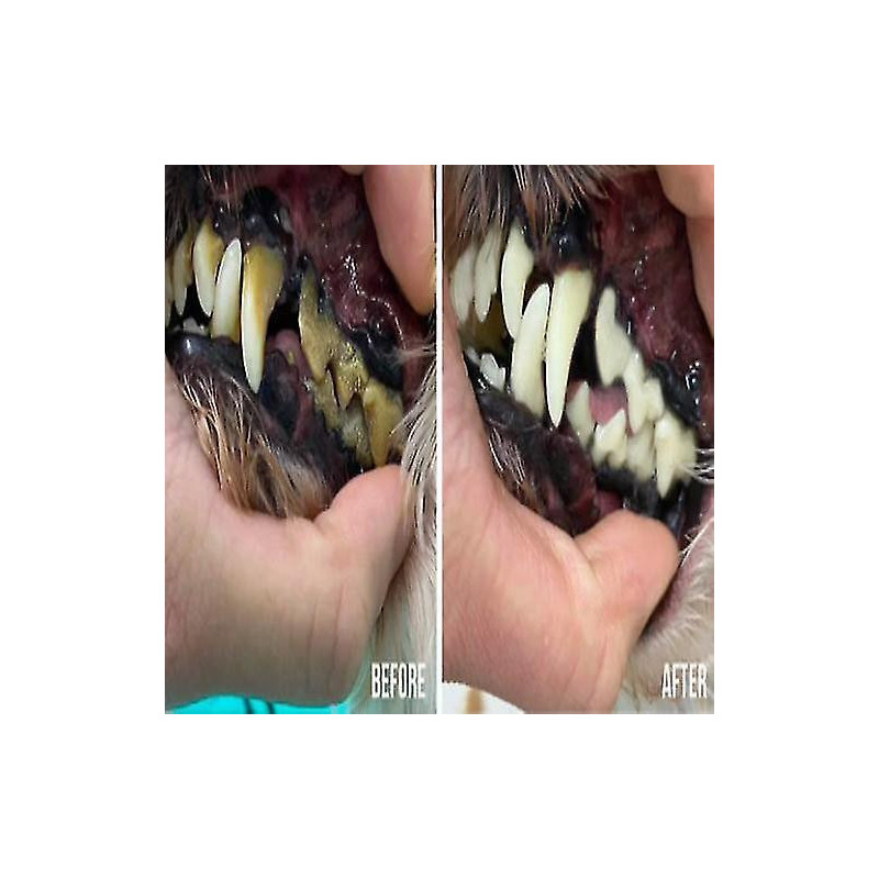 Teeth Cleaning Spray For Dogs & Cats, Eliminate Bad Breath, Targets Tartar & Plaque