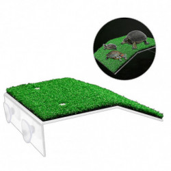 Pente pour petite ventouse de reptile Plate-forme de tortue facile à installer