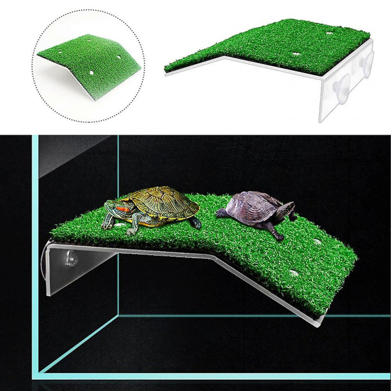 Pente pour petite ventouse de reptile Plate-forme de tortue facile à installer