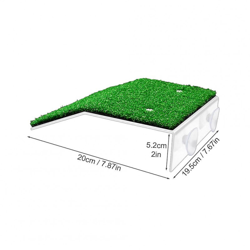 Pente pour petite ventouse de reptile Plate-forme de tortue facile à installer