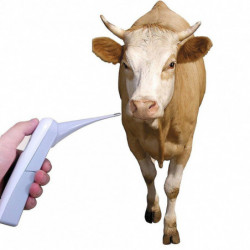 Pet Thermomètre électronique Thermomètre numérique Thermomètre rectal rapide Thermomètre