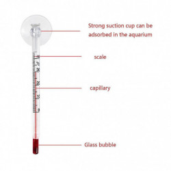 Compteur de verre Aquarium Fish Tank Température de l’eau Thermomètre Ventouse/aimant