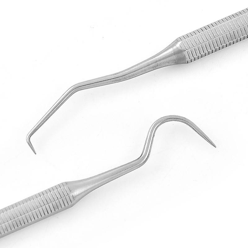 Stainless Steel Dentist Teeth Cleaning Probe Hook Pick Double Ended Oral Hygiene Dentist Explorer 1pc (D-2D) Stainless Steel Dentist Teeth Cleaning Probe Hook Pick Double Ended Oral Hygiene Dentist Explorer 1pc (D-2D)