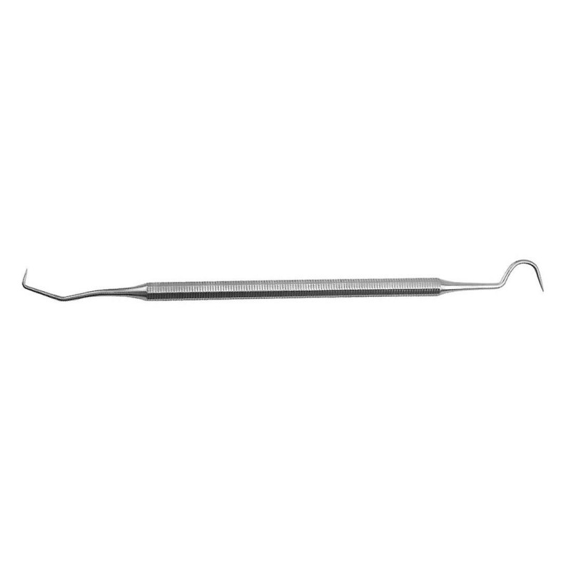 Stainless Steel Dentist Teeth Cleaning Probe Hook Pick Double Ended Oral Hygiene Dentist Explorer 1pc (D-2D) Stainless Steel Dentist Teeth Cleaning Probe Hook Pick Double Ended Oral Hygiene Dentist Explorer 1pc (D-2D)