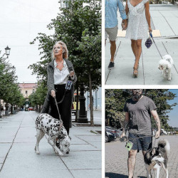 Porte-sac à crottes pour chiens, porte-sac à ordures pour animaux de compagnie Porte-bagages en laisse, tissu [...]