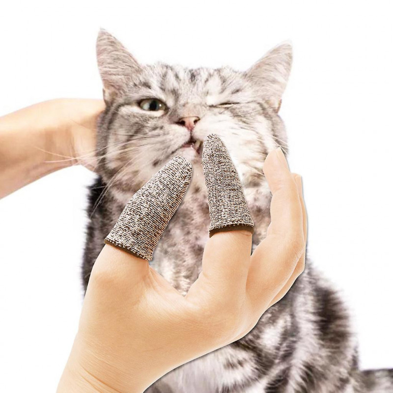 Pet Finger Toothbrush French Bulldog Brush Bad Breath Tartar Teeth Tool