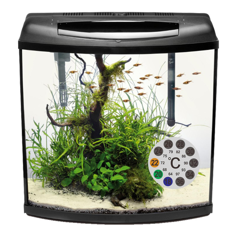 Autocollants de température numériques adhésif pour la fermentation de bière de brasserie Kombucha 10x