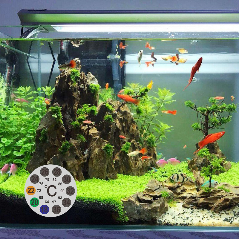 Autocollants de température numériques adhésif pour la fermentation de bière de brasserie Kombucha 10x