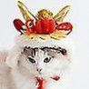 Year Of Dragon Dog Cat Hat, Cute Dragon Cosplay Hat For Dogs Cats