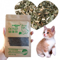 1~10PCS Natural Premium Catnip Cattle Grass Interactive Cat Non-toxic 10g Menthol Flavor Funny Cat Supplies Keep [...]