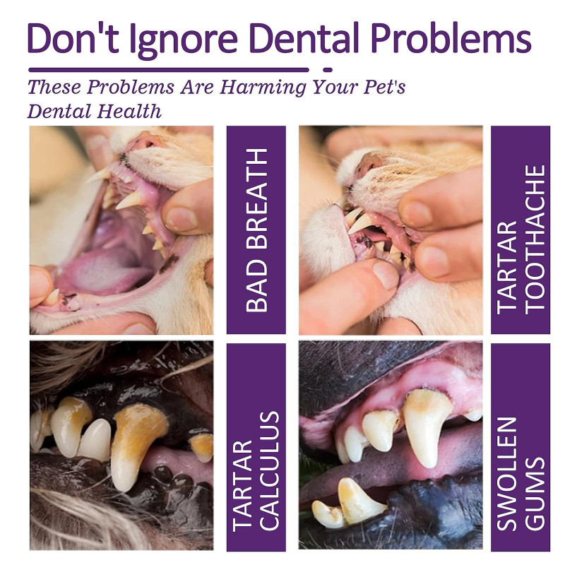 Pet Dental Cares Toothpaste For Dog Cat, Pet Toothpaste Clean Mouth Odor Tartar Tooth Stains, Dog Gum Care Toothpaste