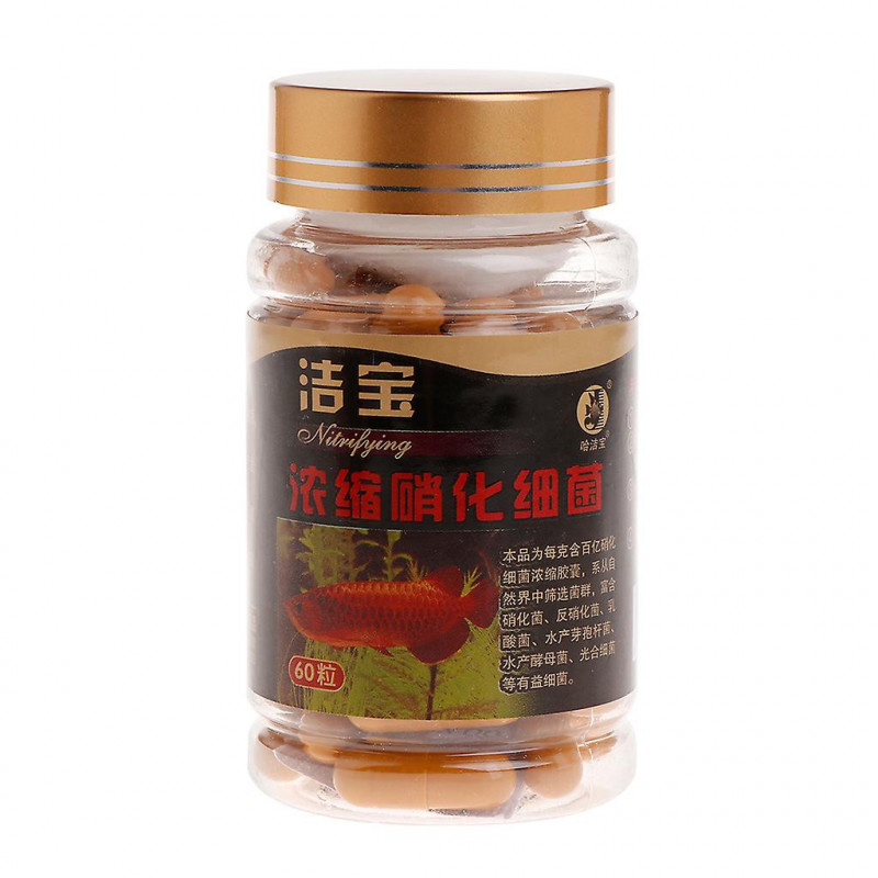 60 Count Capsules de bactéries nitrifiantes pour les poissons d’eau douce et d’eau de mer pour