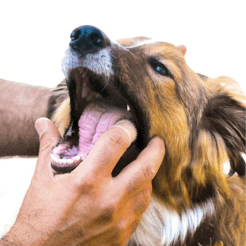 4pcs Brosse à dents à doigts de chien, brosse à dents à doigts pour le nettoyage des dents de chien, brosse à [...]