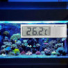 Electronic Aquarium Thermometer, Exquisite Small Two Sides' Adhesive High Sensitive Simple Fish Tank
