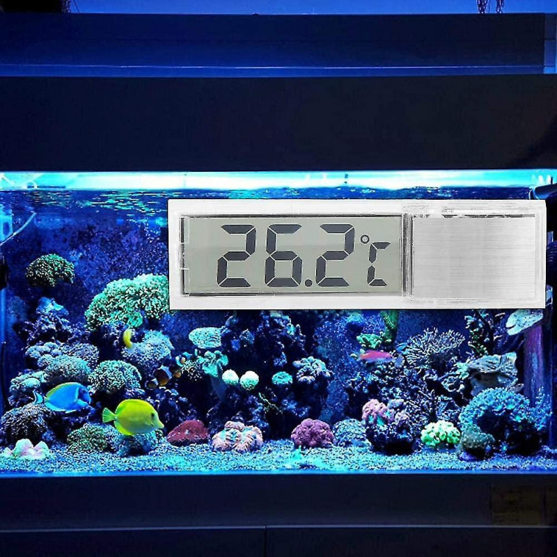 Electronic Aquarium Thermometer, Exquisite And Compact Double-sided Adhesive High-sensitivity Simple