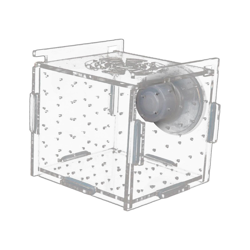 Fish Breeder Box Aquarium Accessory Transparent Fish Isolation Breeding Box Hatching Incubator Box for Aggressive Fish