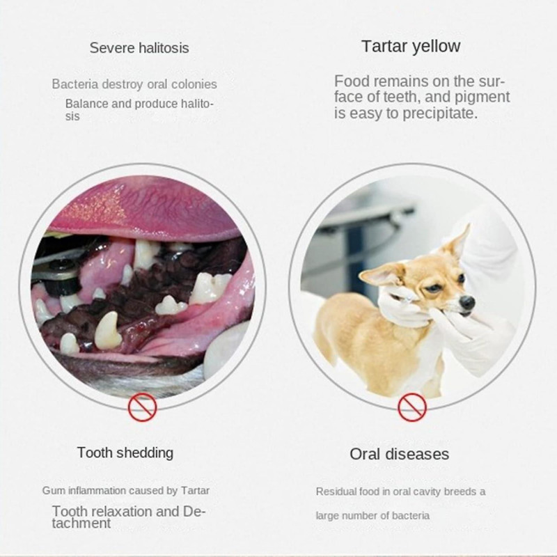 Brosse pour chien Chat Chat Pet Puppy Gum Doigt Brosse à dents Kit de fournitures dentaires pour chiens, 2 pcs 360 [...]