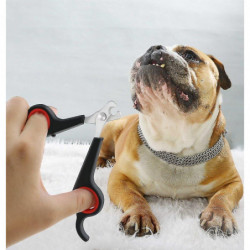 1 Pcpinkpet Nail Scissors- Comfortable Cut For Kittens, Puppies, Rabbits And Other Small Pets