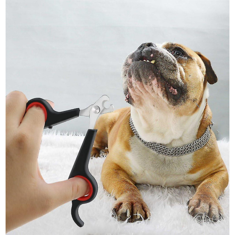 1 Pcpinkpet Nail Scissors- Comfortable Cut For Kittens, Puppies, Rabbits And Other Small Pets