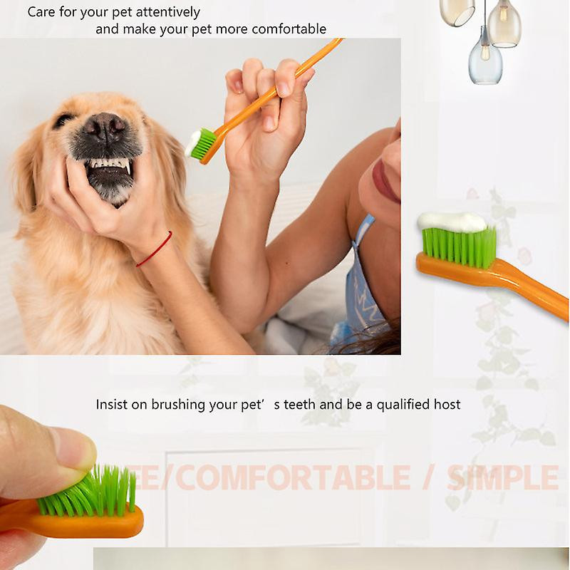 7 Pet Toothbrushes