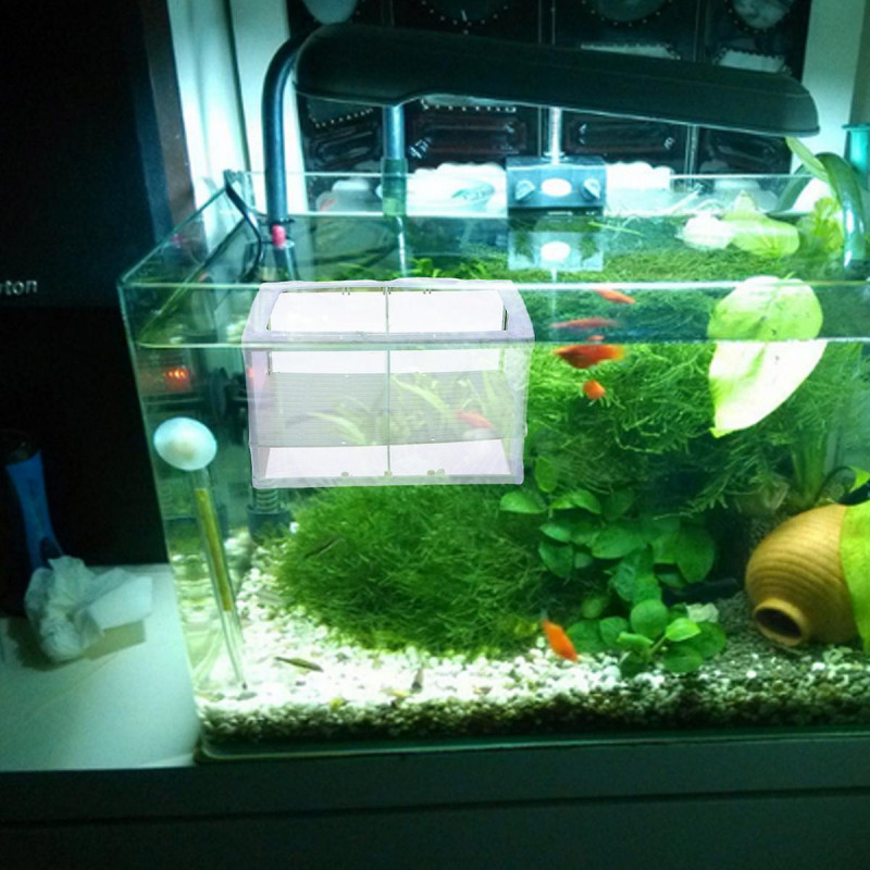 Incubateur d’écloserie de friture de filet d’éleveur de poissons avec ventouse pour aquarium (couleur aléatoire)