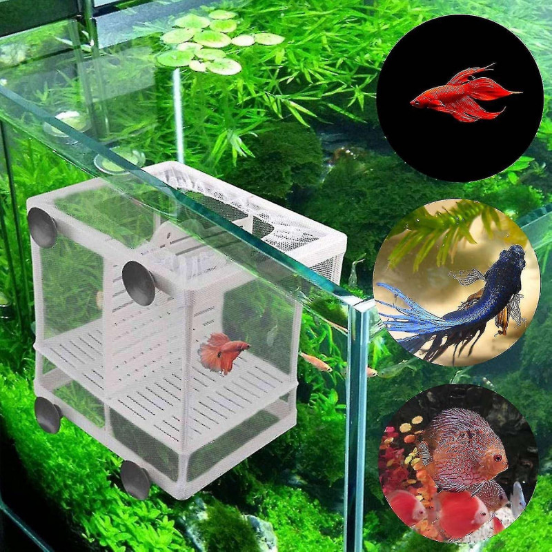 2 Pieces Spawning Box, Isolation Net For Aquariums, Aquarium Fish Incubator, Suitable For Aquariums,