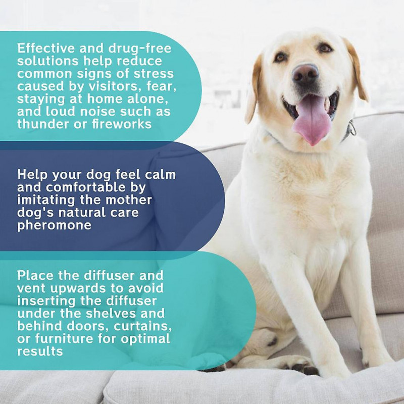 Gouttes calmantes pour animaux de compagnie Liquide anti-aboiement pendant le voyage Liquide sain pour animaux de [...]