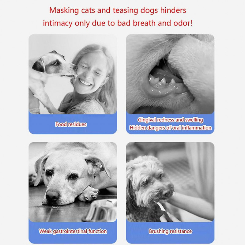 Effective Dog Dental Care Water Additive Pet Oralfreshen Liquid Mouthwash 17oz