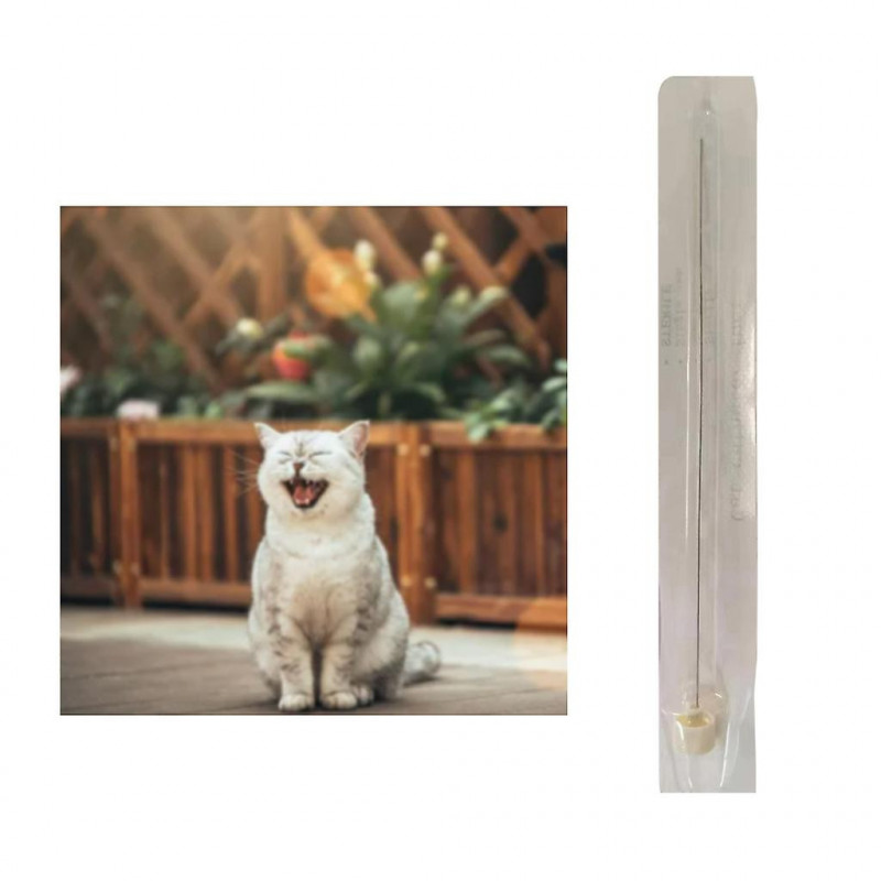 12pcs Cat Urinary Catheterization For Pet Anuresis For Surgery