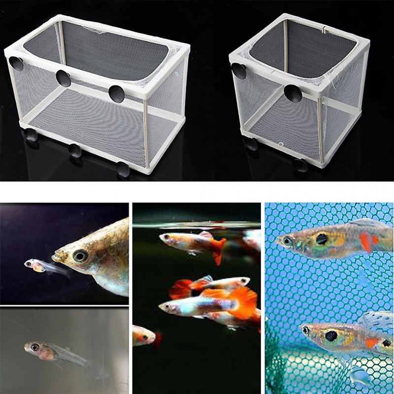 Fish Nursery for Aquarium Fry Breeding Net Hatchery Incubator with Suction Cup